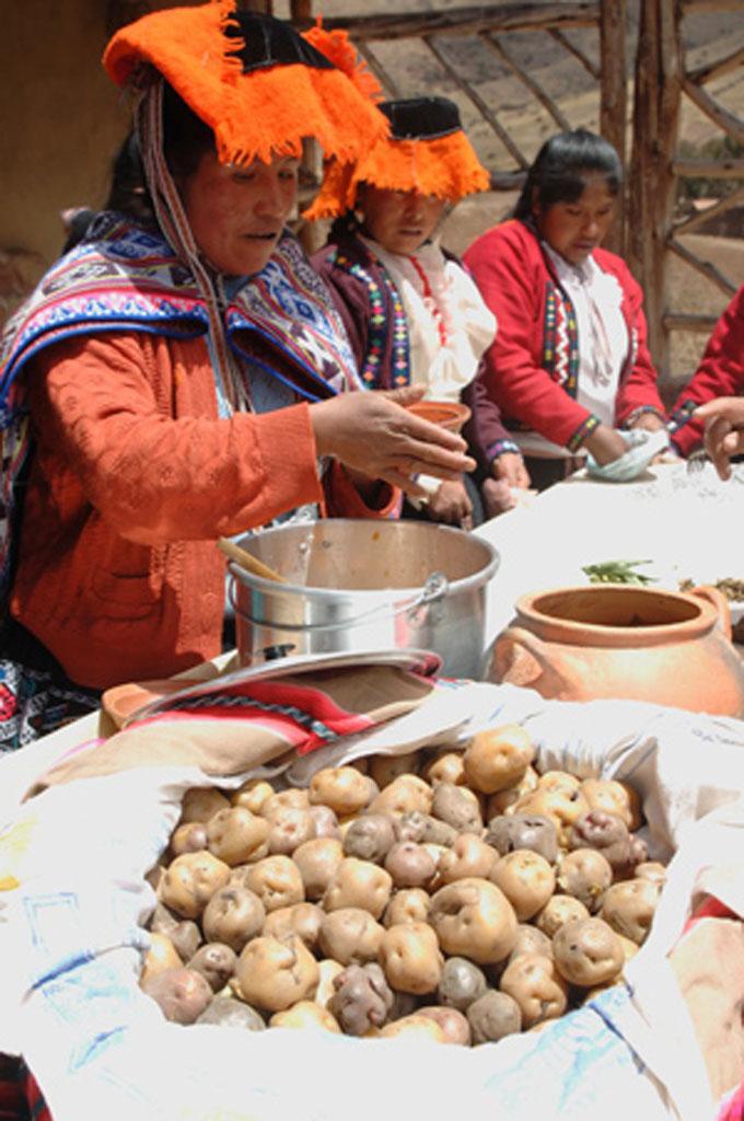 The Quechua: Guardians of the Potato | Cultural Survival