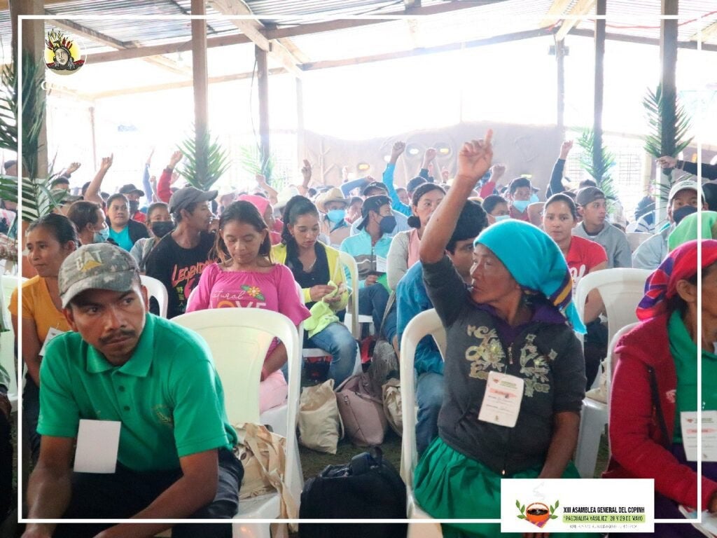 Civic Council of Popular and Indigenous Organizations of Honduras (COPINH)