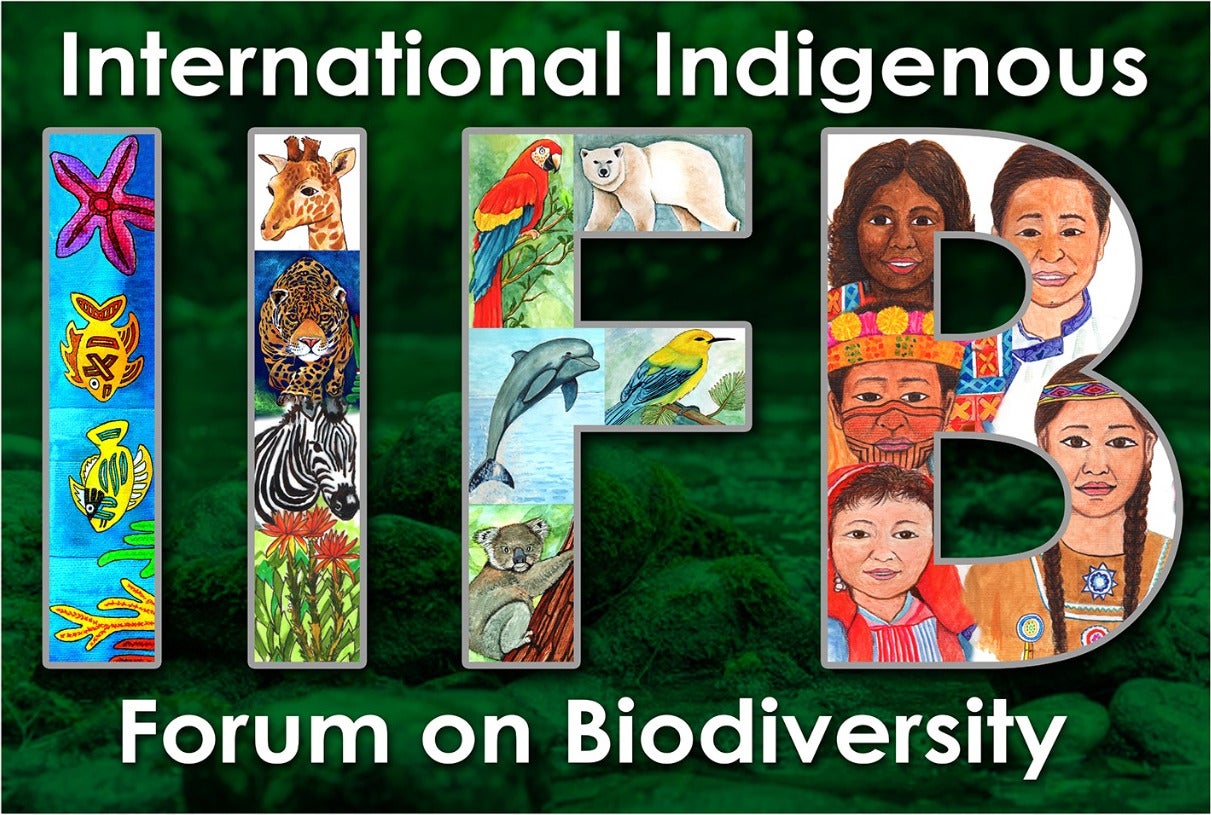 Statement Of The International Indigenous Forum On Biodiversity (IIFB ...