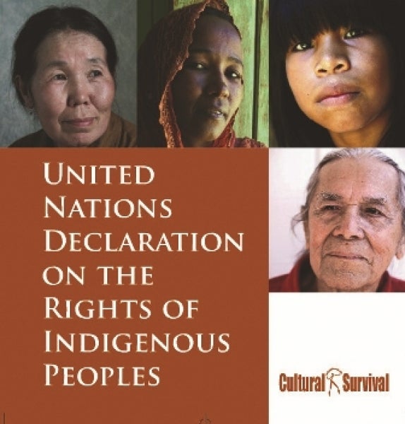 5 Years Un Declaration On The Rights Of Indigenous Peoples Cultural Survival