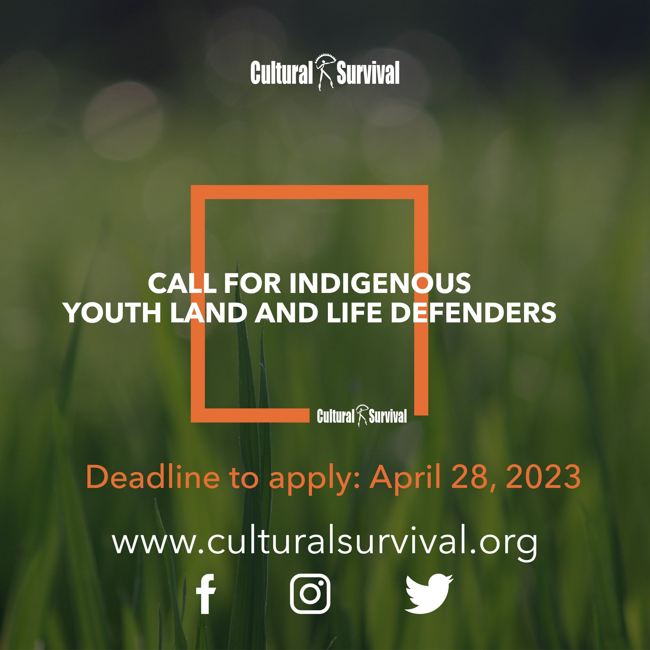 Calling Indigenous Youth Land And Life Defenders | Cultural Survival