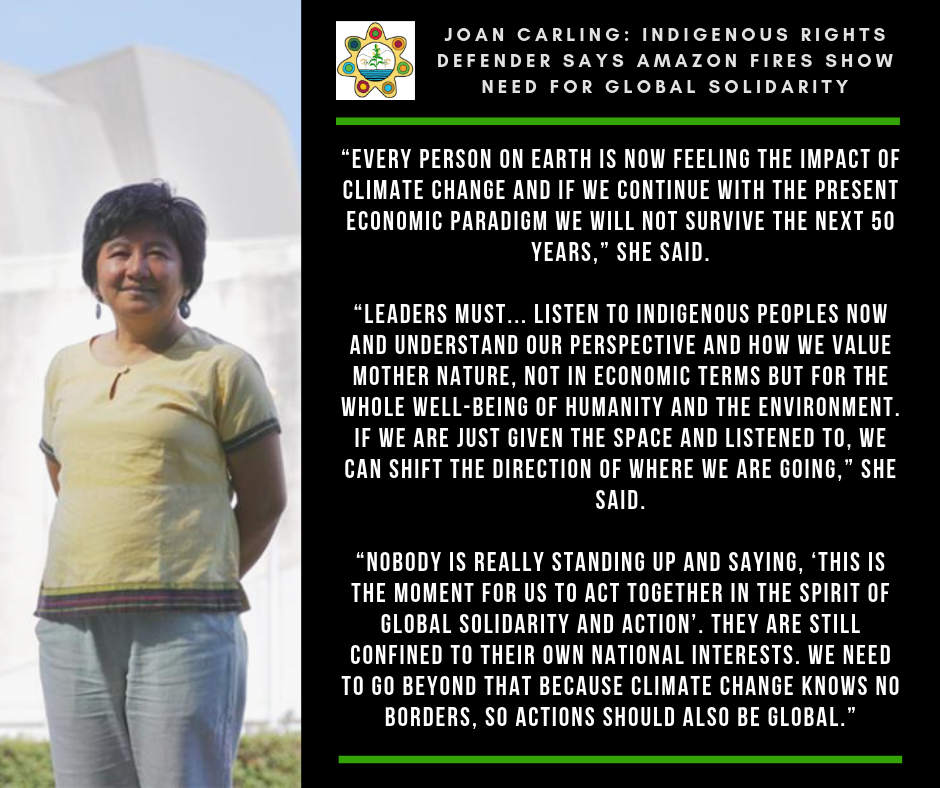 Joan Carling: Indigenous Rights Defender Says Amazon Fires Show Need ...