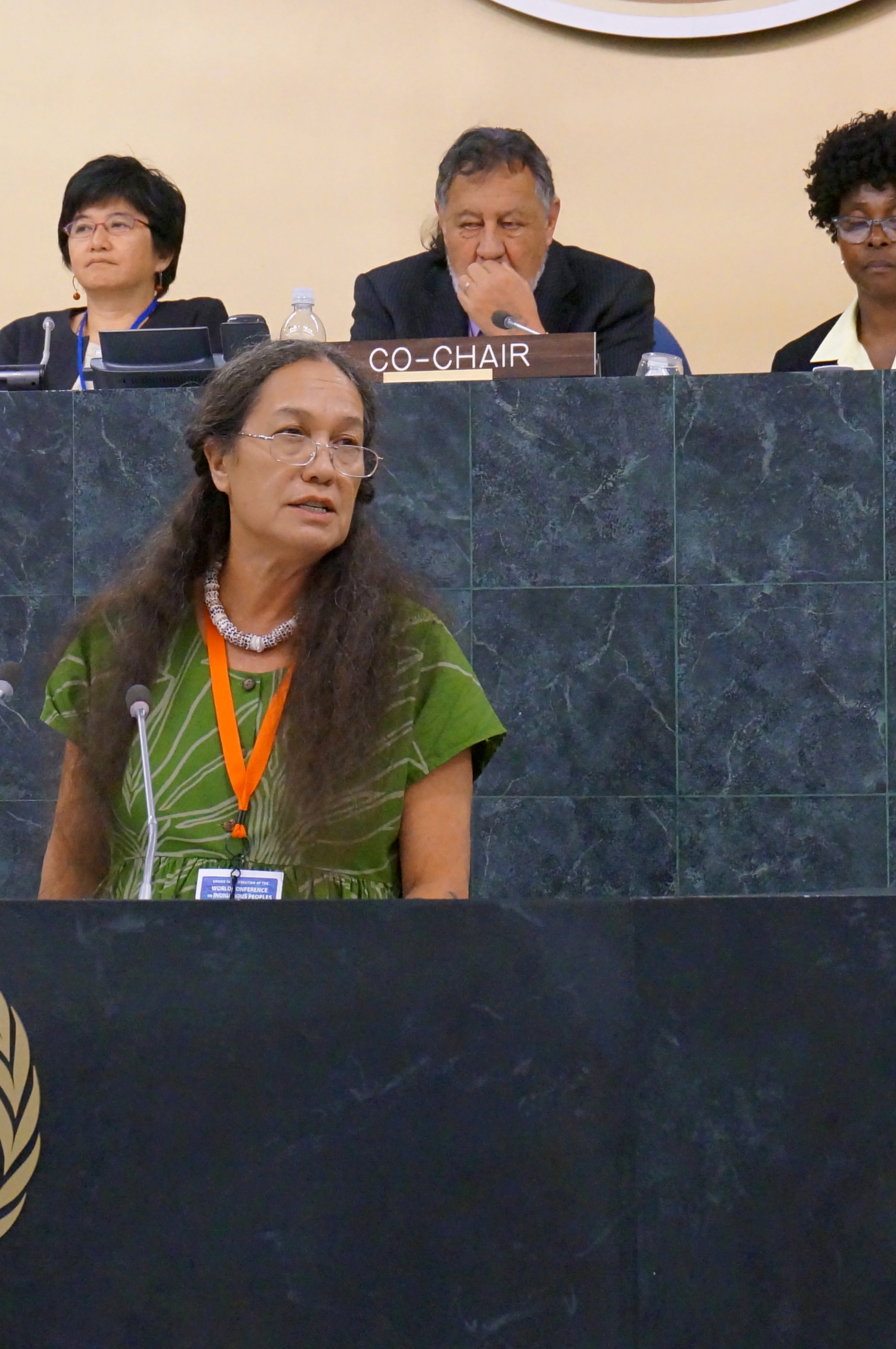 World Conference on Indigenous Peoples Concludes at UN Cultural Survival