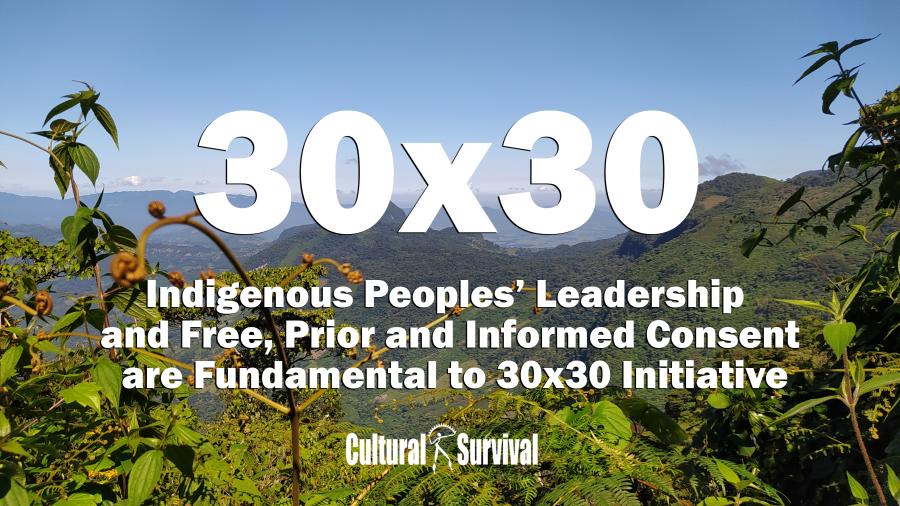 5 Years: UN Declaration On The Rights Of Indigenous Peoples | Cultural ...