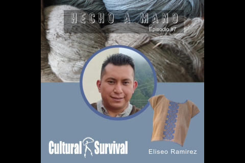 Eliseo Ramirez (Zapoteca)