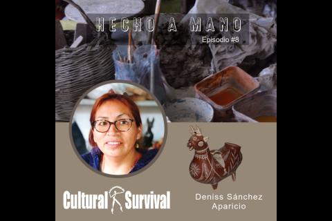 Deniss Sánchez Aparicio