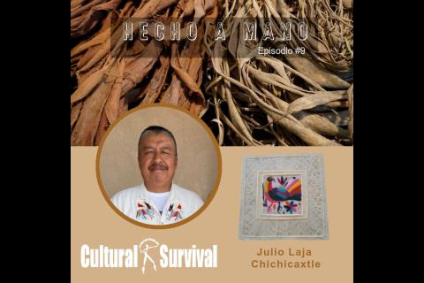 Julio Laja Chichicaxtle