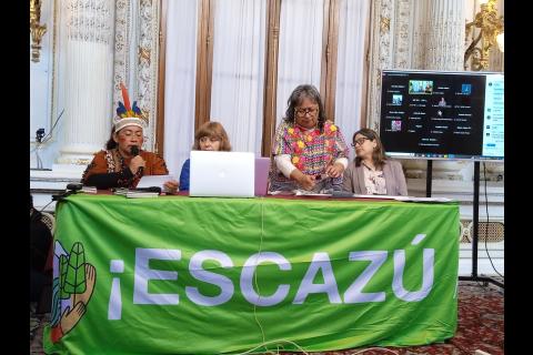Indigenous and civil society representatives during a side event at COP2.