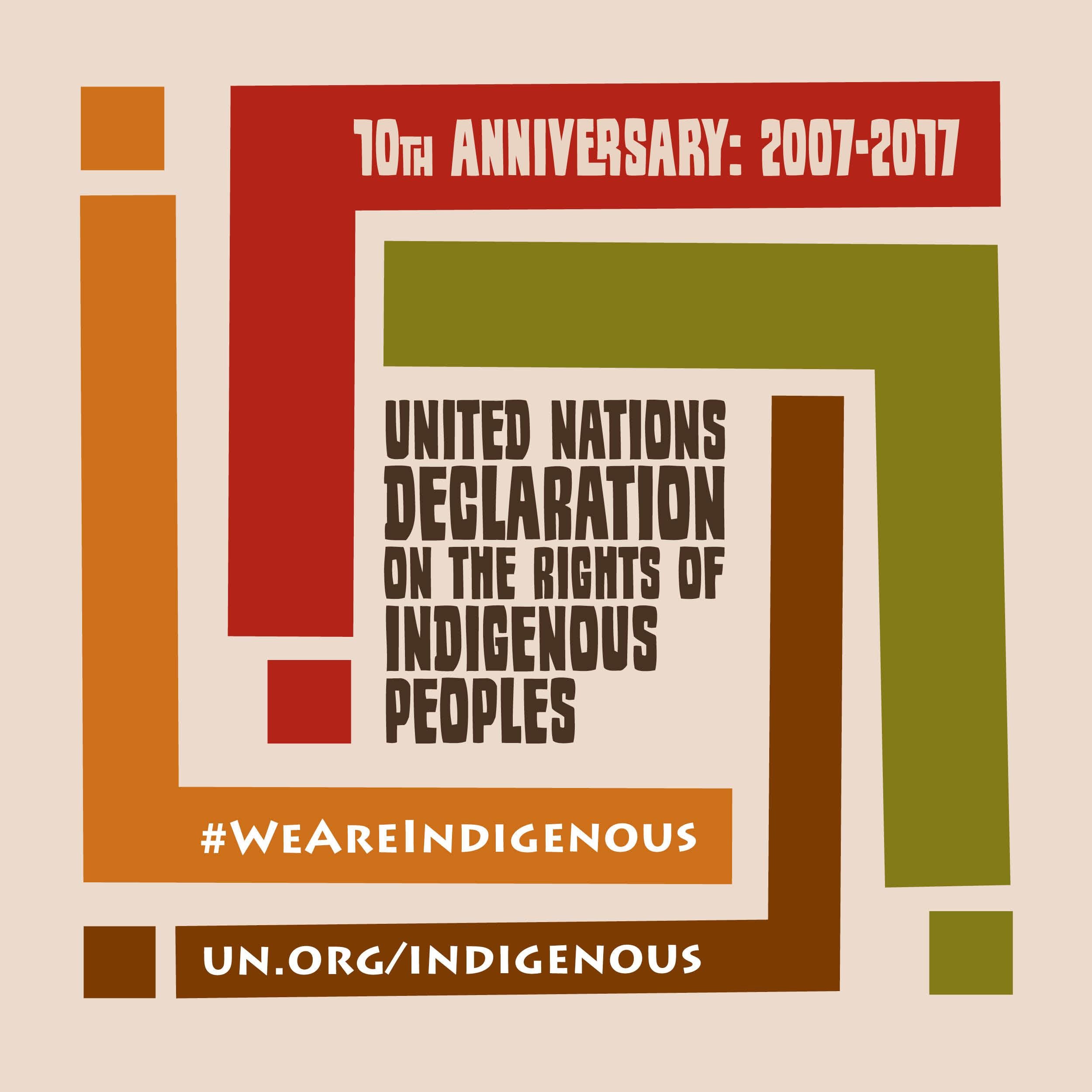 Moving Forward: Perspectives On The 10th Anniversary Of UNDRIP ...