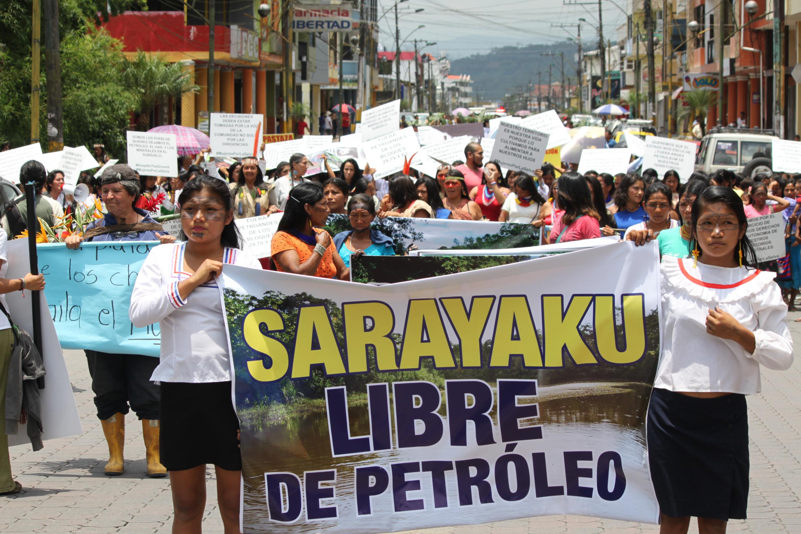 Indigenous Amazonian Women: Defending Mother Earth | Cultural Survival 