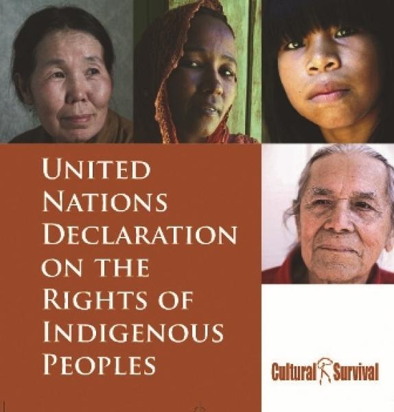 5 Years: UN Declaration On The Rights Of Indigenous Peoples | Cultural ...