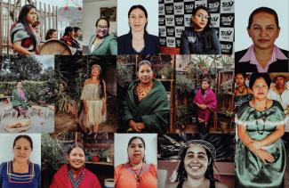 14 women defenders of life and land in the Amazon Basin.